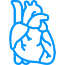 TAVI (Transkateter Aort Kapak İmplantasyonu)