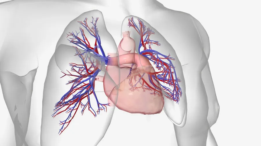 pulmoner hipertansiyon nedir