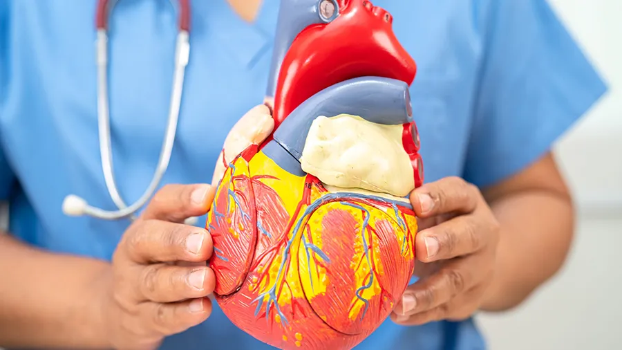 kalp yetmezliğinde kardiyomiyopati tanısı