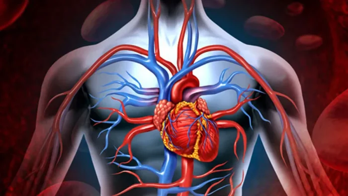 Koroner Arter Hastalığı ile Yaşamak: Günlük Hayatta Dikkat Edilmesi Gerekenler