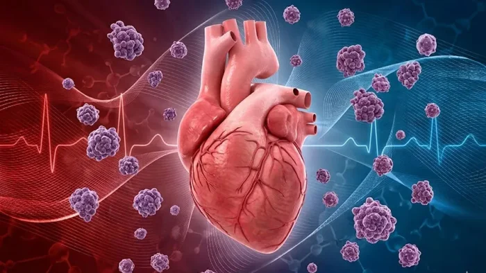 Kardiyo-Onkoloji Nedir? Kanser Tedavisi Sürerken Kalbi Korumak
